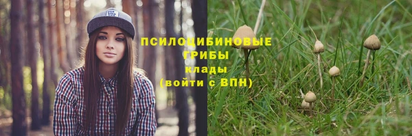 альфа пвп Кодинск