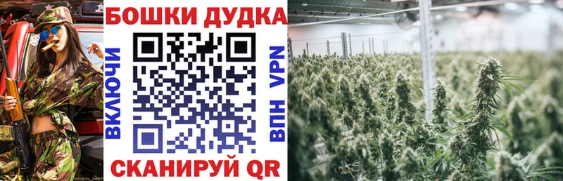 Конопля AK-47  Купить где  Балтийск 